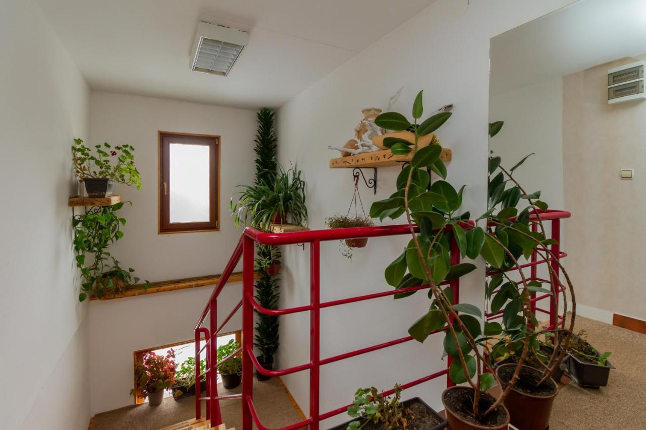 Apartmani Nika Zlatibor Kültér fotó