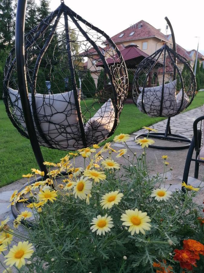 Apartmani Nika Zlatibor Kültér fotó