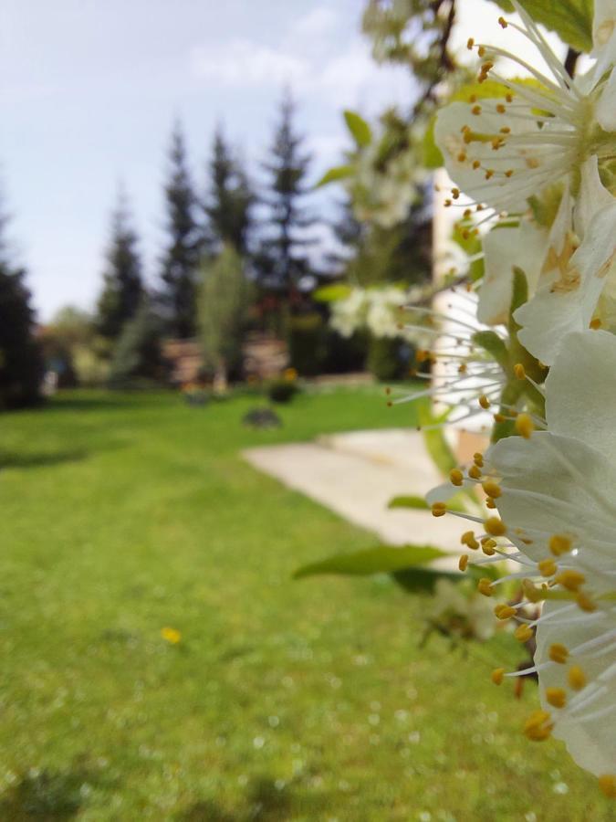 Apartmani Nika Zlatibor Kültér fotó
