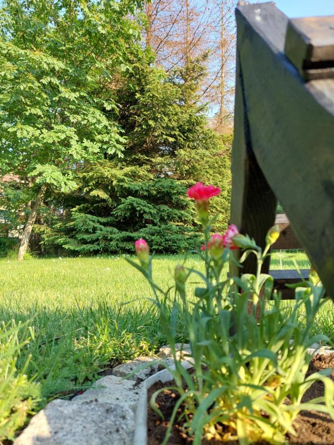 Apartmani Nika Zlatibor Kültér fotó