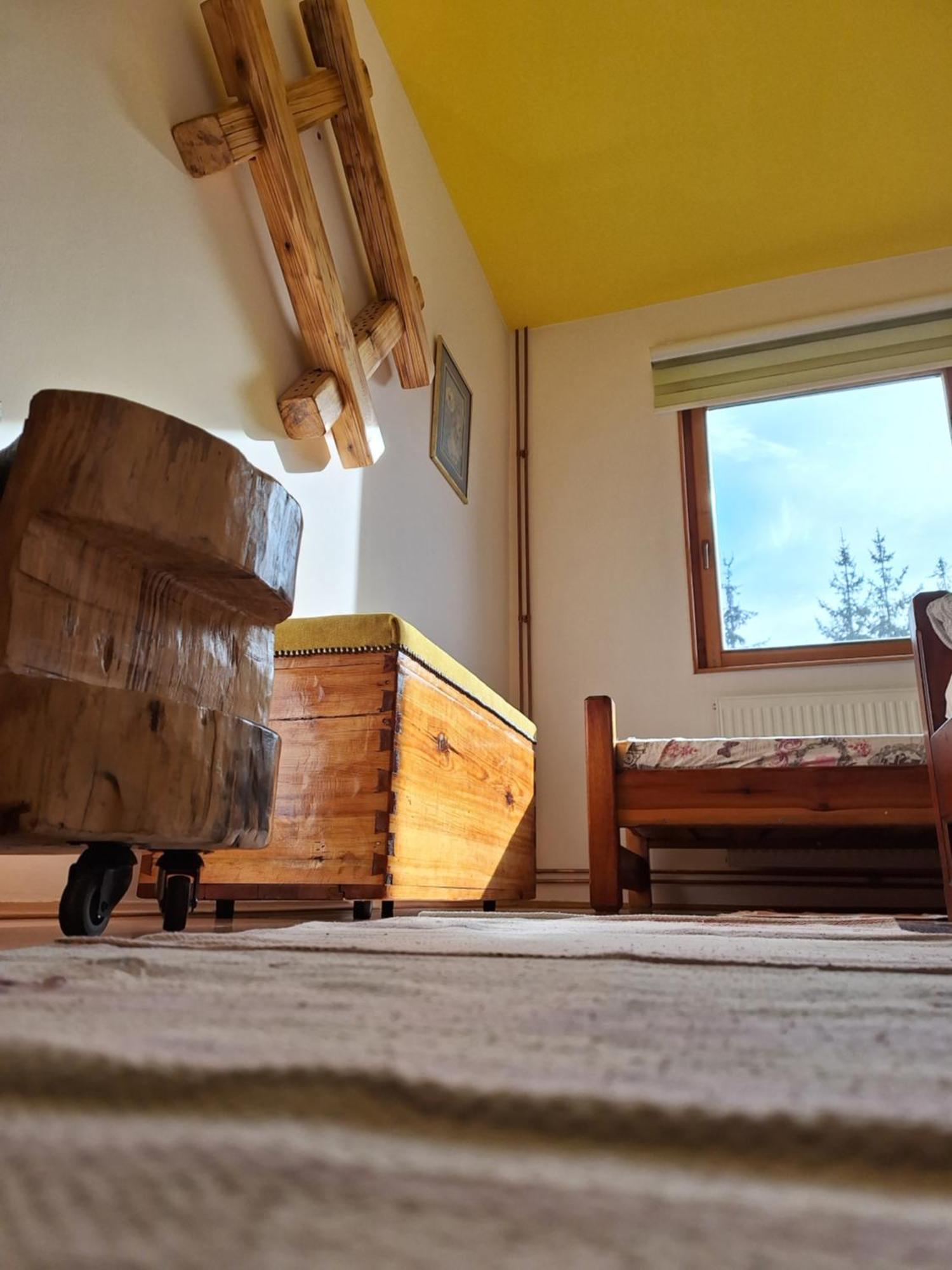 Apartmani Nika Zlatibor Kültér fotó