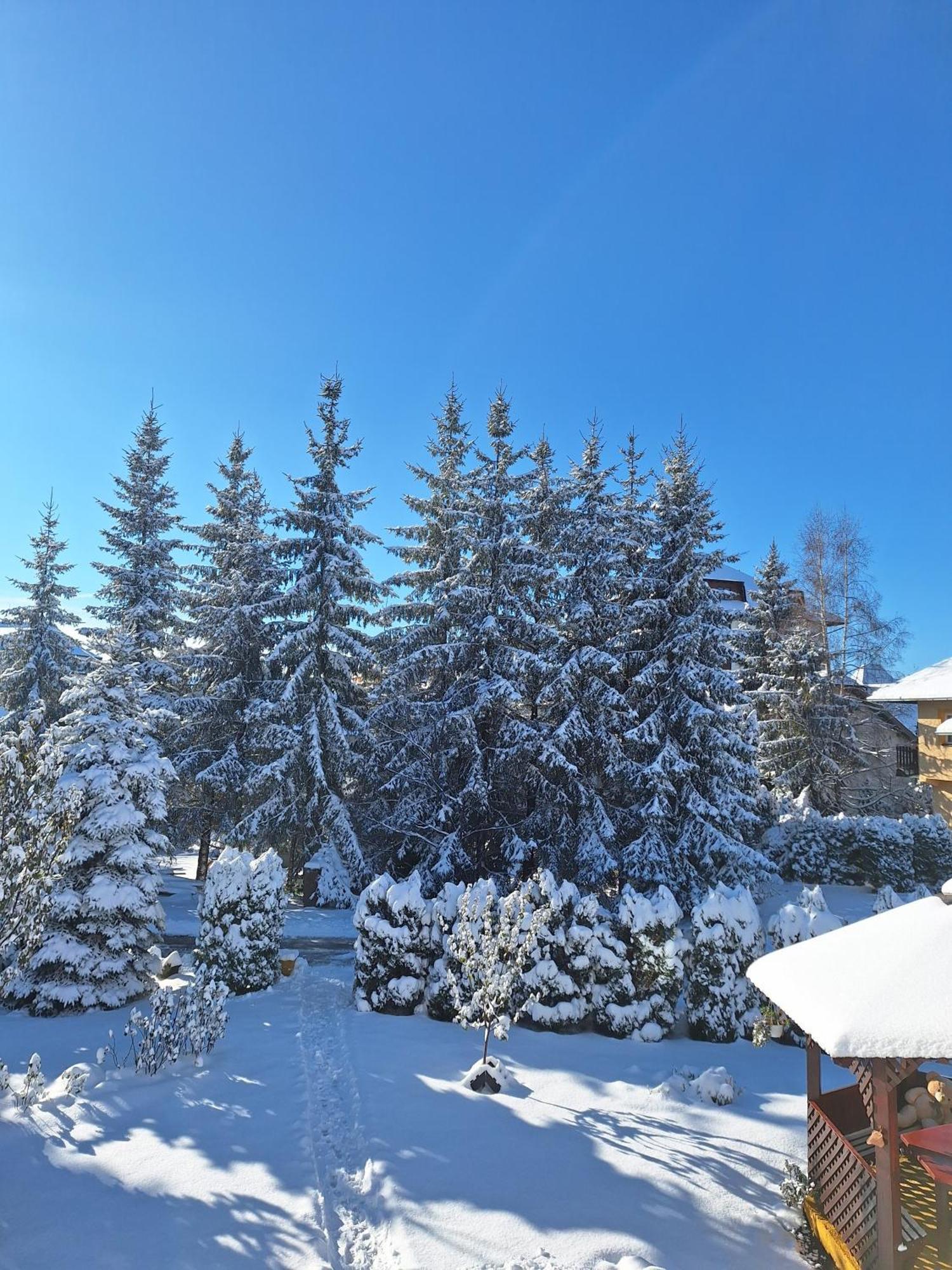 Apartmani Nika Zlatibor Kültér fotó